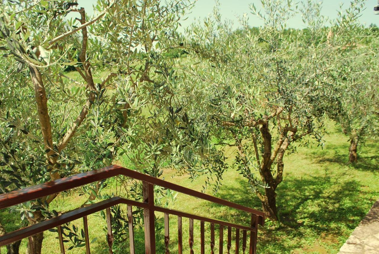 Villa Dorina Barban Exterior foto