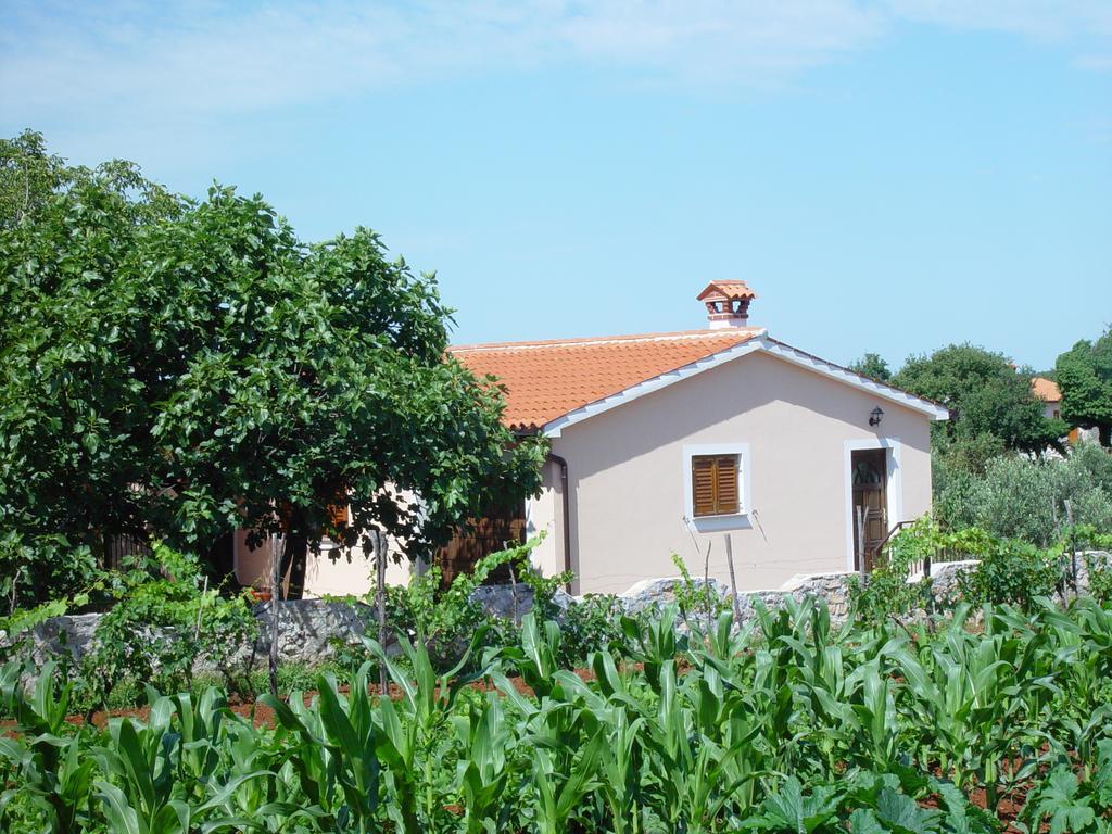 Villa Dorina Barban Zimmer foto